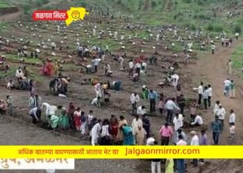 आषाढी एकादशीनिमित्त अमळनेरकरांनी केली हजारो वृक्षांची रोपण !