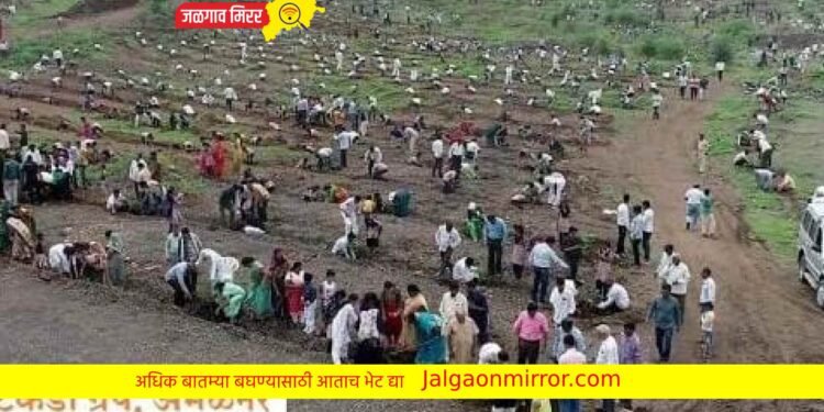 आषाढी एकादशीनिमित्त अमळनेरकरांनी केली हजारो वृक्षांची रोपण !