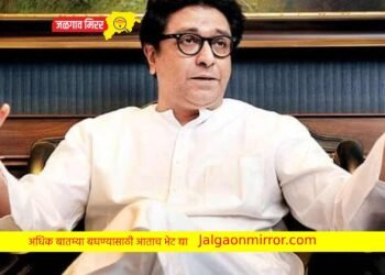 मला वाढदिवशी हीच भेट द्या ; ठाकरेंचे कार्यकर्त्यांना आवाहन !