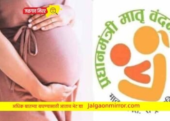 गरोदर मातांना सरकार देणार इतका लाभ !