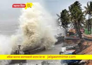 बिपरजॉय चक्रीवादळाने गुजरातचे केले मोठे नुकसान !