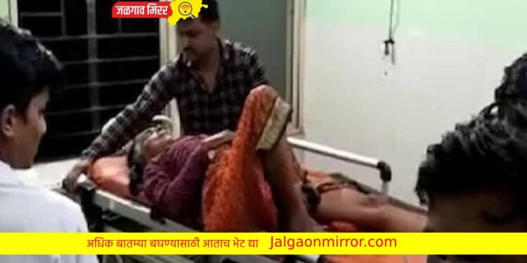 मुक्ताईच्या वारीत मध्यरात्री दुचाकी घुसली अन वारकरी जखमी !