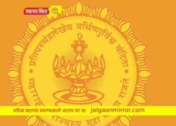 सरकारने केले जाहीर : तलाठी पदासाठी इतक्या आहे जागा !