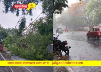 राज्यात जोरदार पावसाची हजेरी ; या जिल्ह्यात ऑरेंज अलर्ट जारी !