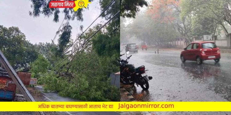 राज्यात जोरदार पावसाची हजेरी ; या जिल्ह्यात ऑरेंज अलर्ट जारी !