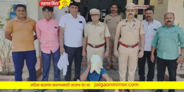 मंदिरात चोरी करणाऱ्या आरोपीला अमळनेरात अटक !