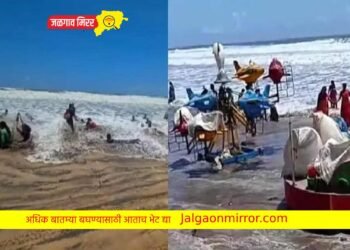 राज्यात बिपरजॉय चक्रीवादळाचा तडाखा ; व्यावसायिकांचे नुकसान !