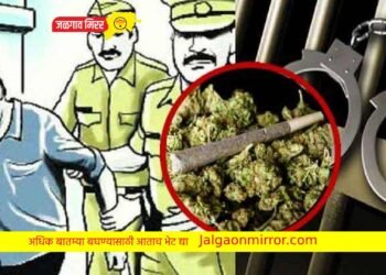 मोठी बातमी : सात लाखांच्या गांजासह आरोपी जाळ्यात !