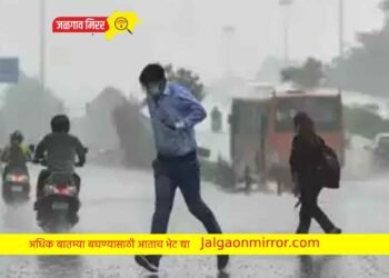 शेतकरीला दिलासा ; राज्यात अनेक ठिकाणी पाऊस बरसला !