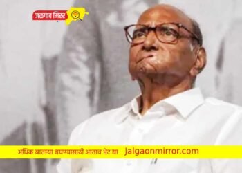 ब्रेकिंग : पवारांनी तवा नव्हे तर भाकरी फिरवली !