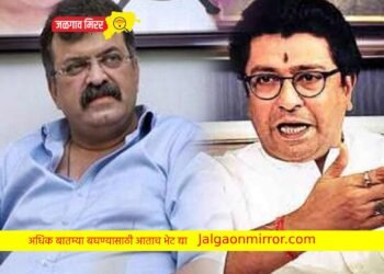 मी शेपटीला धरून आपटीन ; आव्हाडांनी राज ठाकरेंना मारले टोमणे !