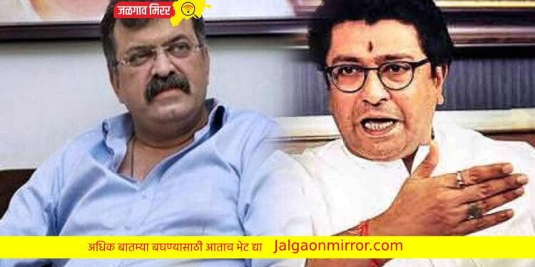 मी शेपटीला धरून आपटीन ; आव्हाडांनी राज ठाकरेंना मारले टोमणे !