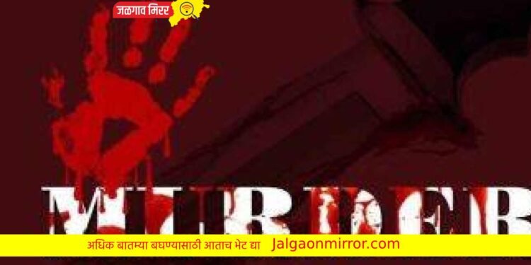 जिल्हा खुनाने हादरला ; पतीने केला पत्नीचा खून !
