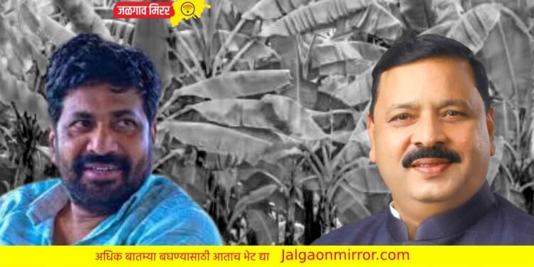रावेर – यावल तालुक्यातील केळी उत्पादकांच्या नुकसान भरपाई वरून मंत्री बच्चू कडू आक्रमक !