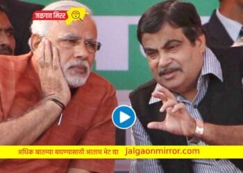 …तर मी विहिरीत उडी मारेन ; नितीन गडकरींच्या वक्तव्याची जोरदार चर्चा !