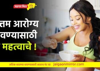 उत्तम आरोग्य ठेवण्यासाठी हे महत्वाचे !