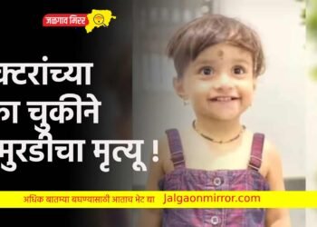 डॉक्टरांच्या एका चुकीने चिमुरडीचा मृत्यू !