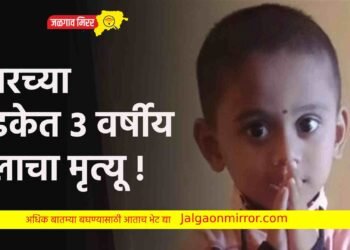 डंपरच्या धडकेत ३ वर्षीय मुलाचा मृत्यू !