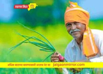 नाशिक विभागात जळगाव जिल्हा अव्वल !