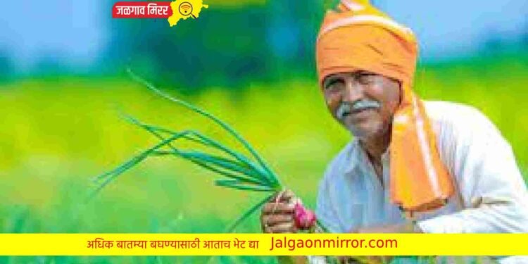 नाशिक विभागात जळगाव जिल्हा अव्वल !