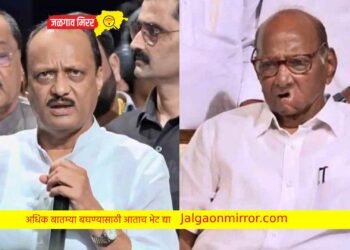 ‘तारीख व वेळ’ ठरली : या ठिकाणी येणार पवार एकत्र !