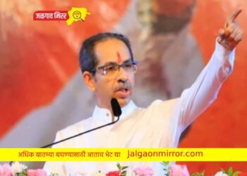 ‘वसाड्या’ सांग मग पैसा गेला तरी कुठे ? ठाकरेंची घणाघाती टीका