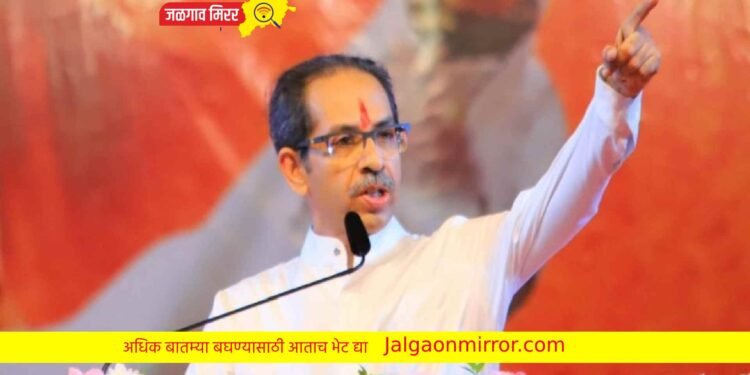 ‘वसाड्या’ सांग मग पैसा गेला तरी कुठे ? ठाकरेंची घणाघाती टीका