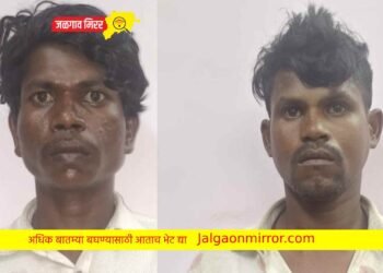 एलसीबीची कामगिरी : दुकान फोडून मोबाईल लांबविणाऱ्या दोघांना अटक !