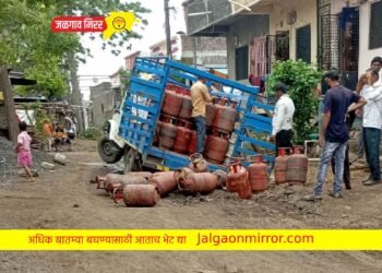 पाडसे गावात नागरी समस्या ; गटविकास अधिकारीना निवेदन !