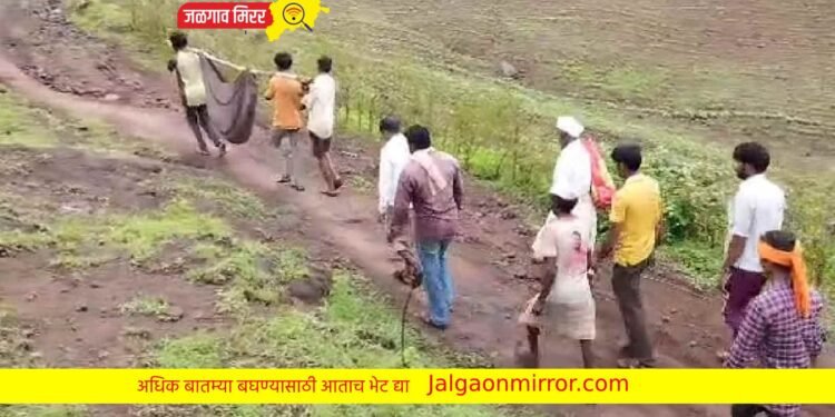 दुर्देव : गर्भवती महिलेला न्यावे लागले खांद्यावर !