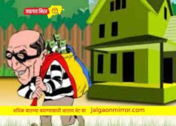 शेतकऱ्याच्या घरातून मध्यरात्री लाखोंचा मुद्देमाल लंपास !