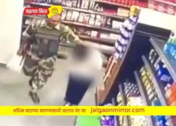 बीएसएफ जवानाने केला महिलेचा विनयभंग : मानिपुरातील व्हिडीओ व्हायरल !