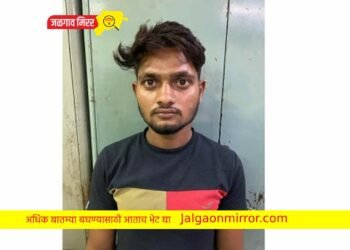 एलसीबीची कारवाई : मोबाईल चोरट्याला केली अटक !