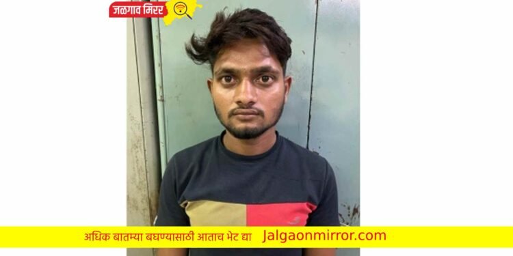 एलसीबीची कारवाई : मोबाईल चोरट्याला केली अटक !