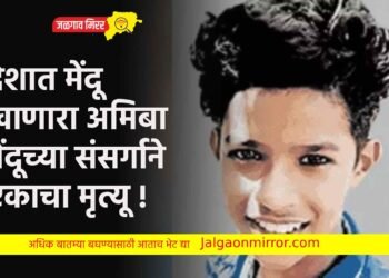 देशात मेंदू खाणारा अमिबा : मेंदूच्या संसर्गाने एकाचा मृत्यू !