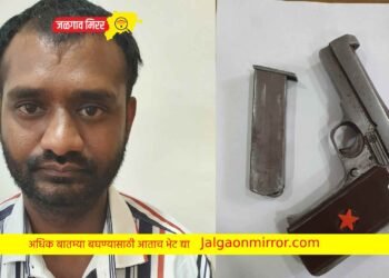 जळगावात हवेत गोळीबार करणाऱ्याला एलसीबीने घेतले ताब्यात !