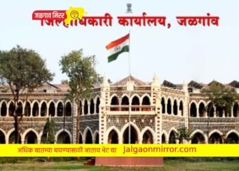 जिल्ह्यातील दोघांवर एमपीडीएअंतर्गत स्थानबध्दतेची कारवाई