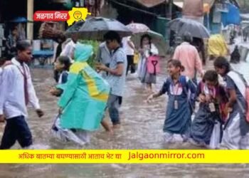 राज्यात पावसाचे थैमान ; या जिल्ह्यातलं शाळेसह महाविद्यालयांना सुट्टी !