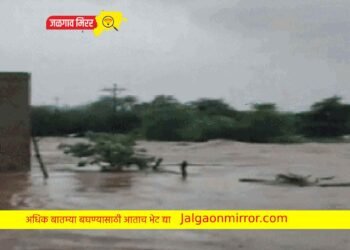 ब्रेकिंग : विदर्भात पावसाचे रौद्ररूप : ४५ जण पुराच्या पाण्यात अडकले !
