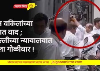 दोन वकिलांच्या गटात वाद ; दिल्लीच्या न्यायालयात केला गोळीबार !