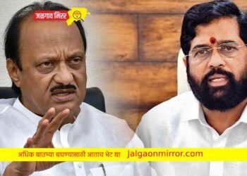 शिंदे गटाला मोठा धक्का ; अर्थ खाते अजित पवारांकडे ? ‘त्या’ जीआरची चर्चा !