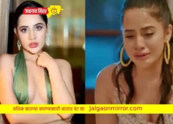 मी पब्लिक प्रॉपर्टी नव्हे ; उर्फिची तरुणाने काढली विमानात छेड !