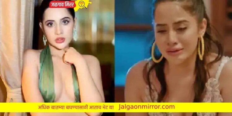 मी पब्लिक प्रॉपर्टी नव्हे ; उर्फिची तरुणाने काढली विमानात छेड !