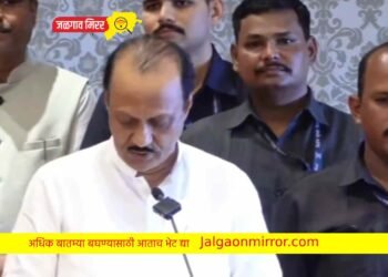 उपमुख्यमंत्रीपदी अजित पवारांनी घेतली शपथ !