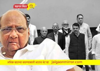 मंत्र्यांनी व्यक्त केली दिलगिरी ; माघारी आले तर आनंदच ; जयंत पाटील !