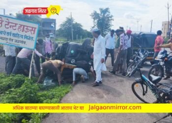 ब्रेकिंग : जळगावात रिक्षा पलटी ; चालक किरकोळ जखमी !