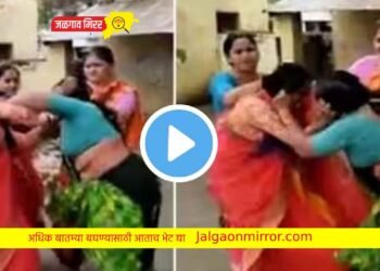 शाळेतील खिचडीवरून दोन महिलांमध्ये तुंबळ हाणामारी !