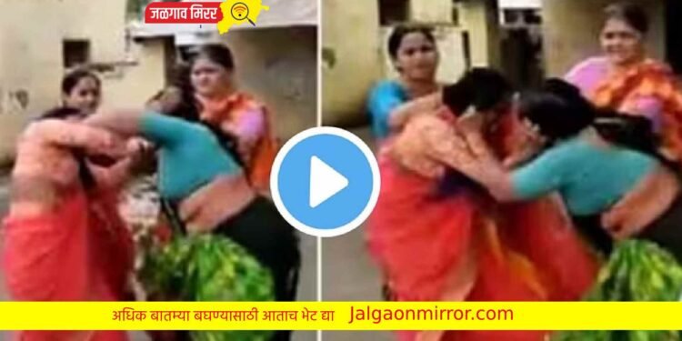 शाळेतील खिचडीवरून दोन महिलांमध्ये तुंबळ हाणामारी !