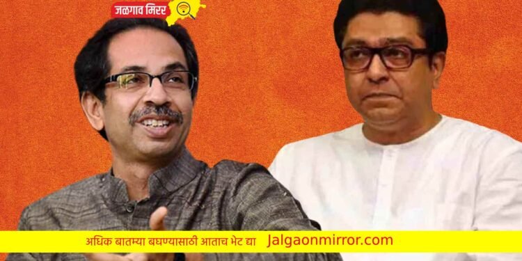 मोठी बातमी : राज व उद्धव ठाकरे येणार एकत्र ?