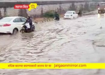 हवामान विभागाचा अंदाज ; जुलै महिन्यात असणार असा पाऊस !